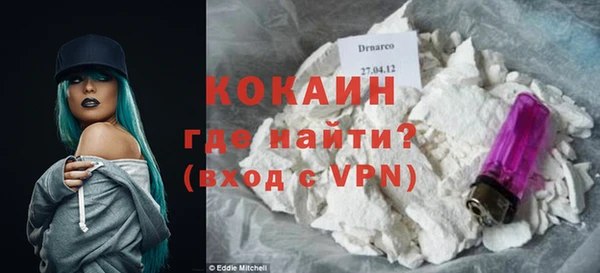 ПСИЛОЦИБИНОВЫЕ ГРИБЫ Ельня