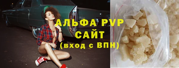ПСИЛОЦИБИНОВЫЕ ГРИБЫ Ельня