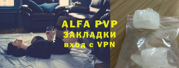 ГАЛЛЮЦИНОГЕННЫЕ ГРИБЫ Елизово