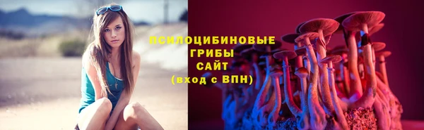 ПСИЛОЦИБИНОВЫЕ ГРИБЫ Ельня
