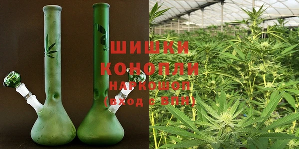 ПСИЛОЦИБИНОВЫЕ ГРИБЫ Ельня