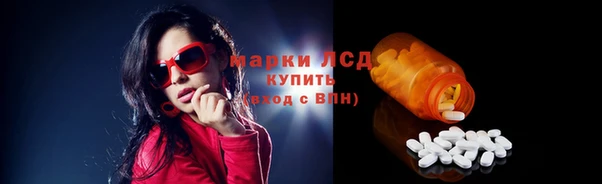 ПСИЛОЦИБИНОВЫЕ ГРИБЫ Ельня