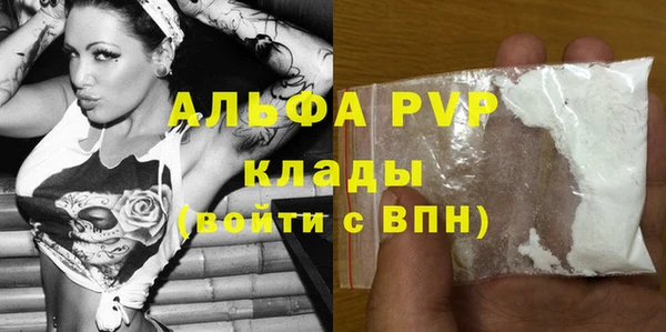 ПСИЛОЦИБИНОВЫЕ ГРИБЫ Ельня