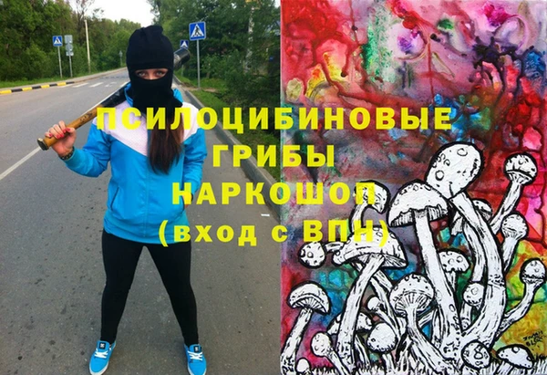 ПСИЛОЦИБИНОВЫЕ ГРИБЫ Ельня