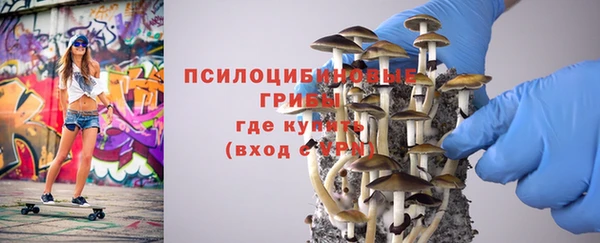 ПСИЛОЦИБИНОВЫЕ ГРИБЫ Ельня