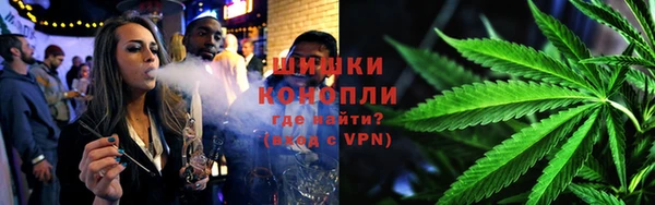 ПСИЛОЦИБИНОВЫЕ ГРИБЫ Ельня