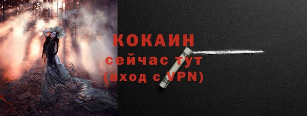 ГАЛЛЮЦИНОГЕННЫЕ ГРИБЫ Елизово