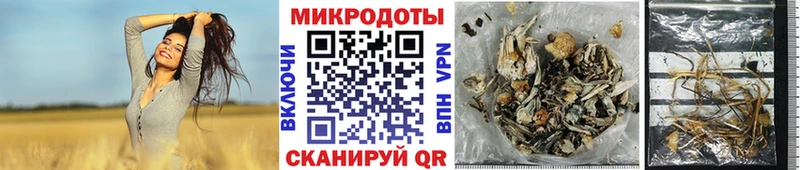 Псилоцибиновые грибы Psilocybe  Купить  Лосино-Петровский 